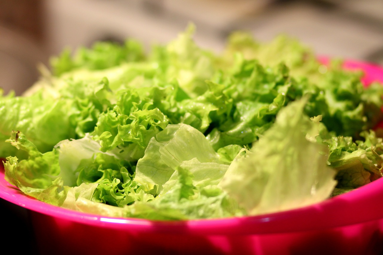 salade verte salade verte